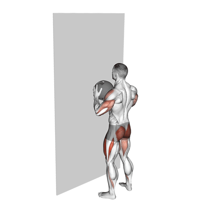 آموزش تصویری و  اجرای صحیح حرکت وال بال اسکات (Wall Ball Squat)